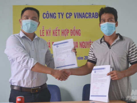 Ông Nguyễn Văn Nghĩa (trái ), Tổng Giám đốc Công ty Cổ phần VinaCrab ký kết hợp đồng liên kết sản xuất cua với nông dân Thị xã Duyên Hải. Ảnh: Minh Đảm.